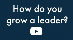 How Do You Grow A Leader